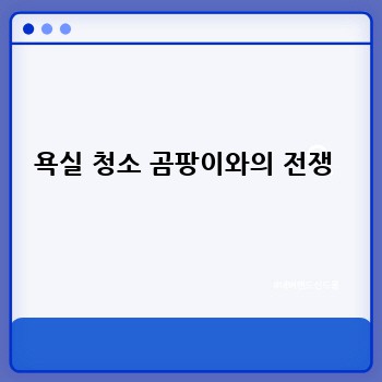 욕실 청소 곰팡이와의 전쟁 