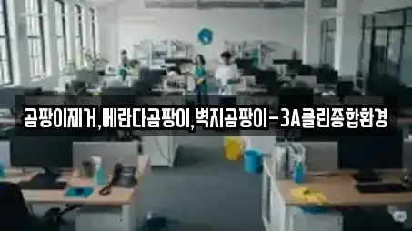 곰팡이제거,베란다곰팡이,벽지곰팡이-3A클린종합환경