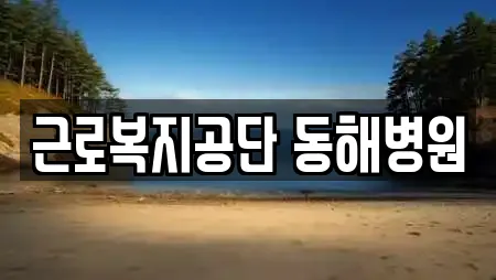 15건의 산부인과 업체 리스트 강원특별자치도 동해 발한동 15건의 산부인과 업체 리스트 강원특별자치도 동해 발한동