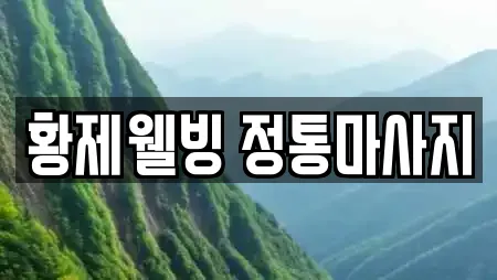황제웰빙 정통마사지