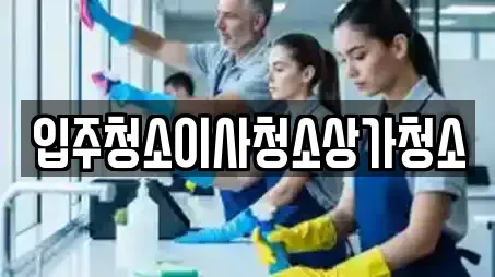 입주청소이사청소상가청소