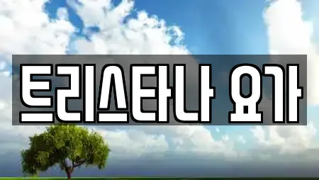 트리스타나 요가