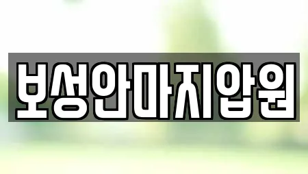 보성안마지압원
