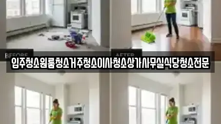 입주청소원룸청소거주청소이사청소상가사무실식당청소전문