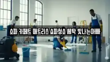 교동 청소 업체 상세 14건 교동 청소 업체 상세 14건