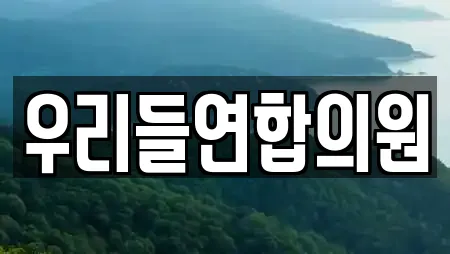 우리들연합의원