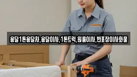 용달1톤용달차,용달이사,1톤트럭,원룸이사,반포장이사화물