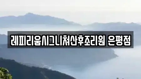 레피리움시그니쳐산후조리원 은평점