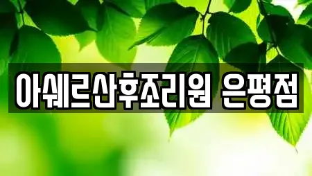아쉐르산후조리원 은평점