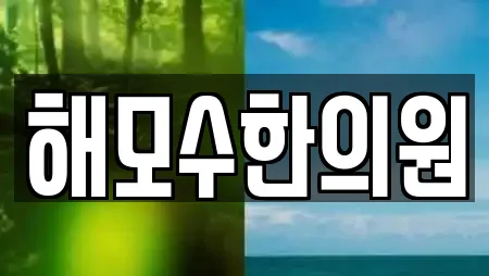 해모수한의원