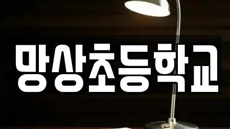 망상초등학교
