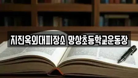 지진옥외대피장소 망상초등학교운동장
