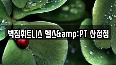 빅짐휘트니스 헬스&PT 산정점