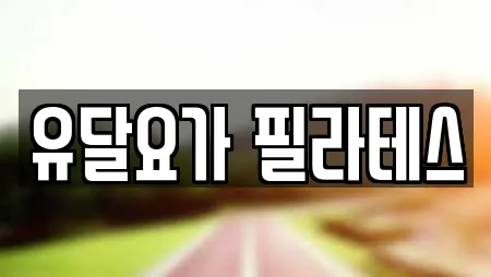 유달요가 필라테스