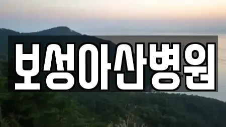 보성아산병원