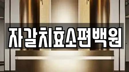 자갈치효소편백원