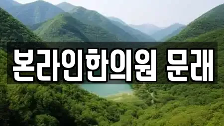 본라인한의원 문래