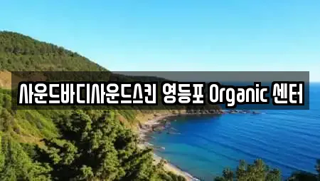사운드바디사운드스킨 영등포 Organic 센터
