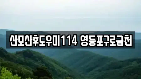 산모산후도우미114 영등포구로금천