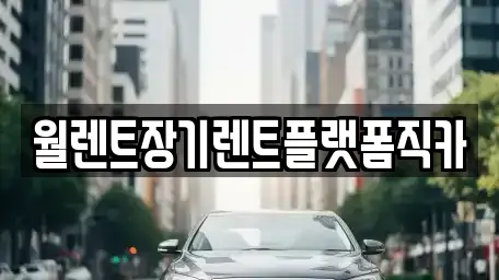 월렌트장기렌트플랫폼직카