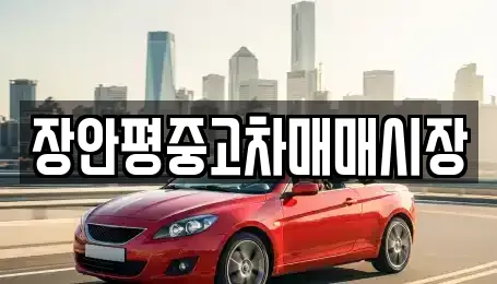 장안평중고차매매시장