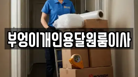 부엉이개인용달원룸이사