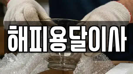 해피용달이사