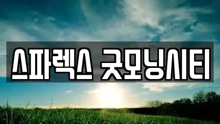 스파렉스 굿모닝시티