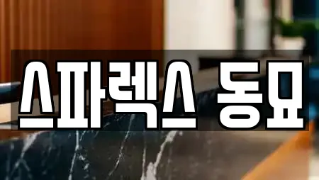 스파렉스 동묘