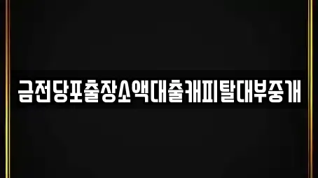 금전당포출장소액대출캐피탈대부중개