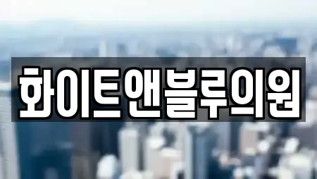 화이트앤블루의원