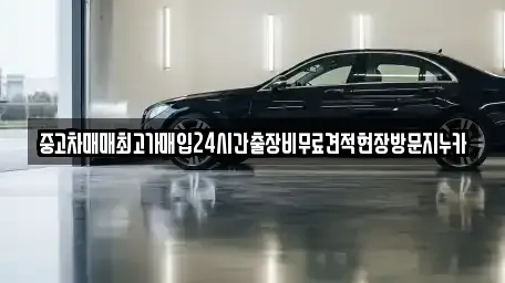 중고차매매최고가매입24시간출장비무료견적현장방문지누카