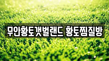 스파 전문업체 전라남도 무안군 해제면 인근 5곳 스파 전문업체 전라남도 무안군 해제면 인근 5곳