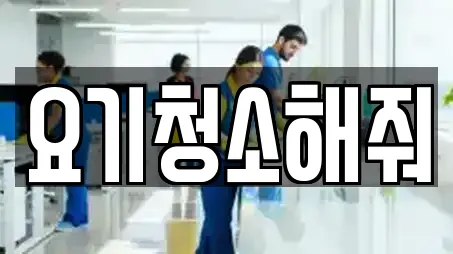 요기청소해줘