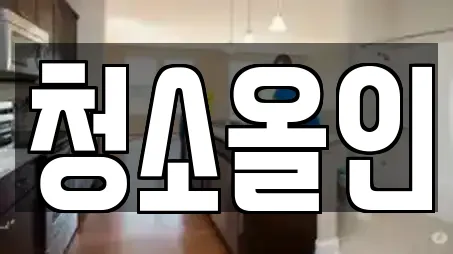 청소올인