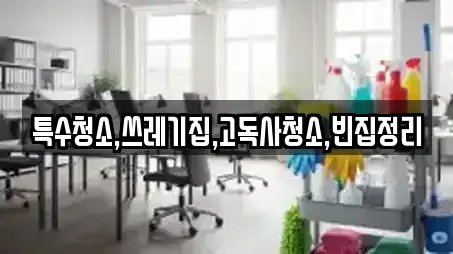 특수청소,쓰레기집,고독사청소,빈집정리