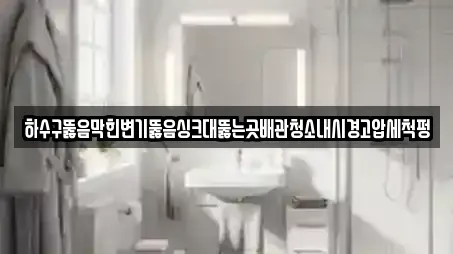 하수구뚫음막힌변기뚫음싱크대뚫는곳배관청소내시경고압세척펑