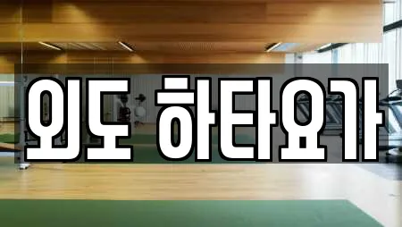 외도 하타요가