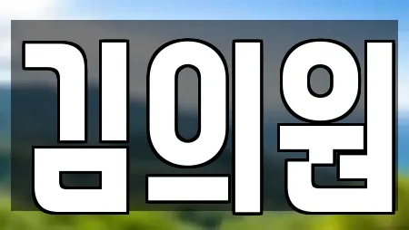 김의원