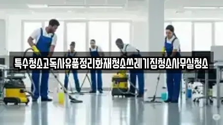 특수청소고독사유품정리화재청소쓰레기집청소사무실청소