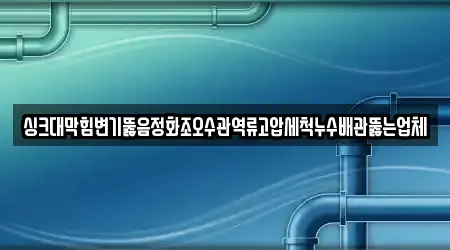 싱크대막힘변기뚫음정화조오수관역류고압세척누수배관뚫는업체