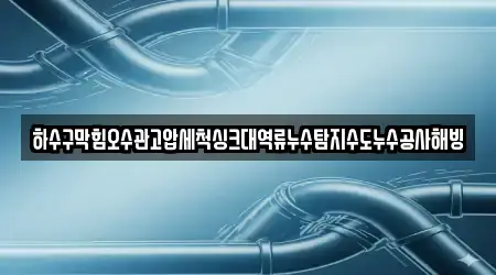 하수구막힘오수관고압세척싱크대역류누수탐지수도누수공사해빙