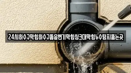 24시하수구막힘하수구뚫음변기막힘싱크대막힘누수탐지뚫는곳