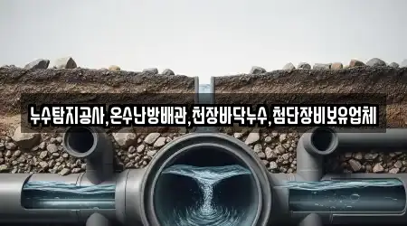 누수탐지공사,온수난방배관,천장바닥누수,첨단장비보유업체
