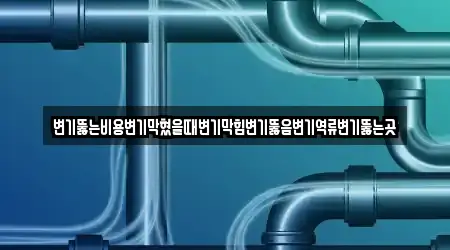 변기뚫는비용변기막혔을때변기막힘변기뚫음변기역류변기뚫는곳