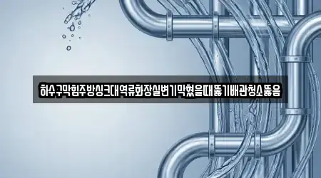 하수구막힘주방싱크대역류화장실변기막혔을때뚫기배관청소뚫음