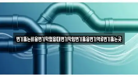 변기뚫는비용변기막혔을때변기막힘변기뚫음변기역류변기뚫는곳