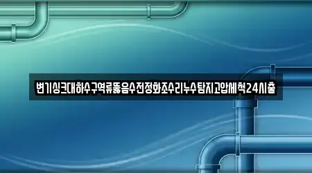 변기싱크대하수구역류뚫음수전정화조수리누수탐지고압세척24시출