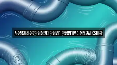 누수탐지하수구막힘싱크대막힘변기막힘변기수리수전교체KS배관
