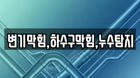 시기동 주변 변기막힘 추천 9곳
